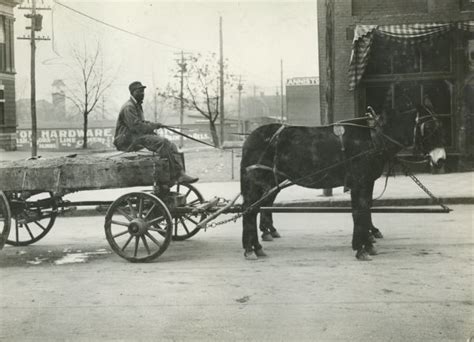 magazine on man with mule and wagon